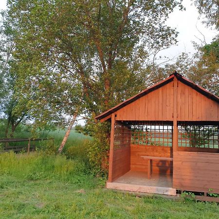 Apartament Panorama Jezow Sudecki 外观 照片