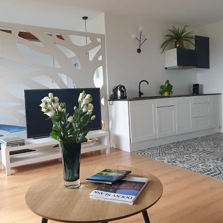 Apartament Panorama Jezow Sudecki 外观 照片