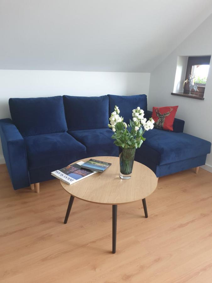 Apartament Panorama Jezow Sudecki 外观 照片