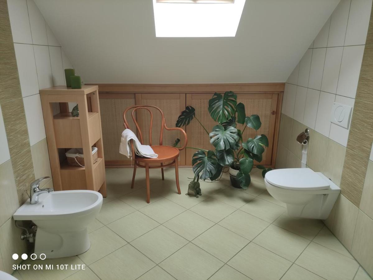 Apartament Panorama Jezow Sudecki 外观 照片